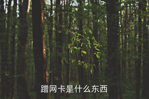 蹭網(wǎng)卡，蹭網(wǎng)卡是什么東西