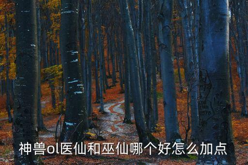 神獸ol醫仙和巫仙哪個好怎么加點