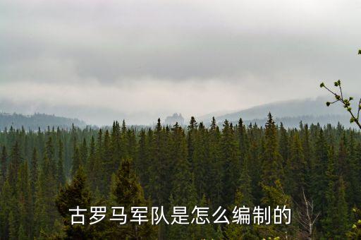古羅馬軍隊是怎么編制的