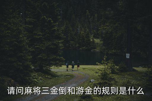 請問麻將三金倒和游金的規則是什么