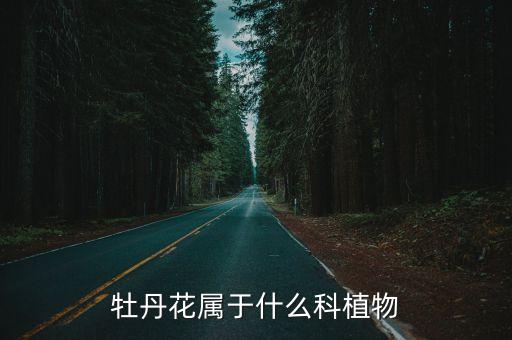 牡丹花屬于什么科植物