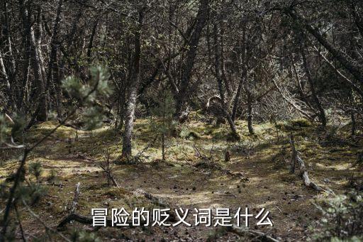 冒險的意思，take the gamble是什么意思