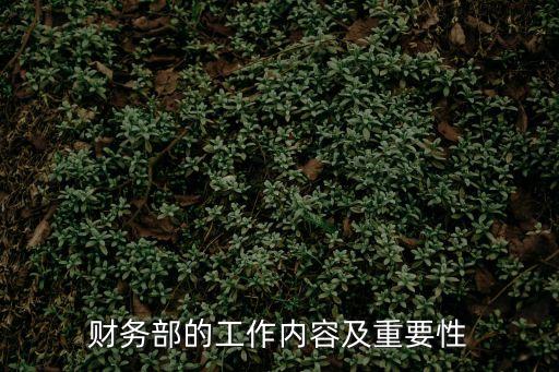 財務部，企業財務部一般有什么崗位設置