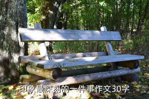 印象最深刻的一件事作文30字