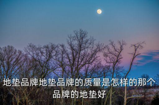 天雅地毯，地墊品牌地墊品牌的質(zhì)量是怎樣的那個品牌的地墊好