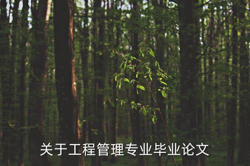 工程管理專業畢業論文，工程管理畢業論文范文