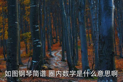 鋼琴譜數(shù)字，鋼琴音符上有數(shù)字是什么意思