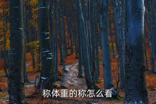 體重秤怎么看，稱體重的稱怎么看