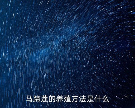 馬蹄蓮怎么養(yǎng)，馬蹄蓮的養(yǎng)殖方法是什么