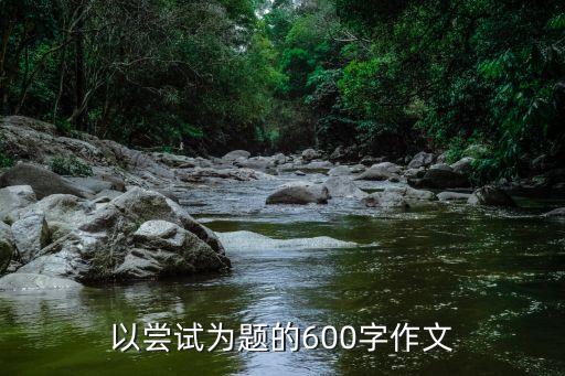 嘗試作文，嘗試 作文450字急用