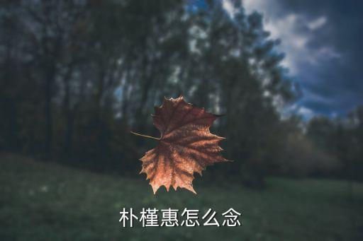 樸瑾惠，樸槿惠是什么樣的人物