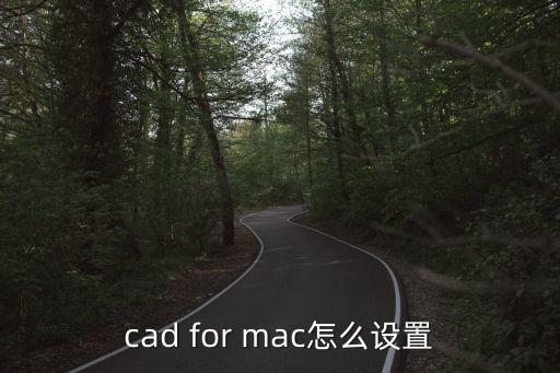 cadmac，cad for mac怎么設置