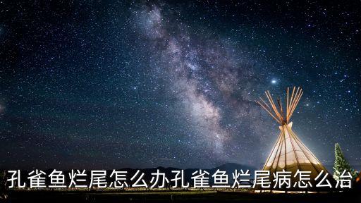 孔雀魚爛尾怎么辦孔雀魚爛尾病怎么治