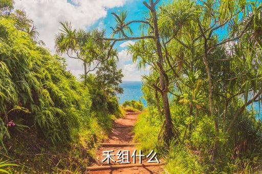 禾組什么
