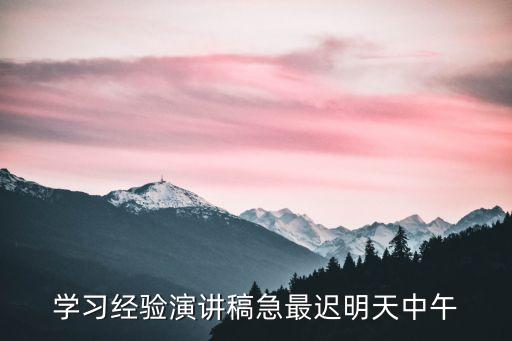 學習經驗演講稿急最遲明天中午