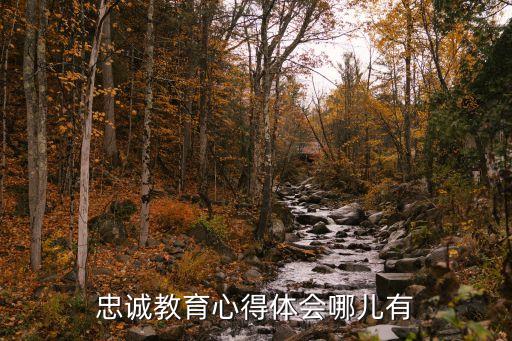 忠誠教育，火星文忠誠教育怎么說