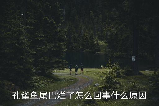 孔雀魚爛尾原因與治療，孔雀魚爛尾巴是怎么回事怎么處理