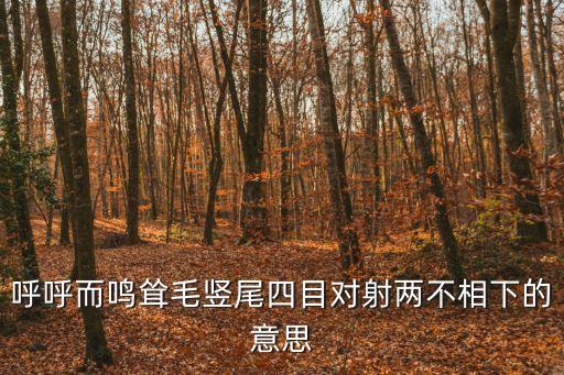 相下，呼呼而鳴聳毛豎尾四目對射兩不相下的意思