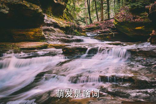 萌發，萌發的釋義是什么