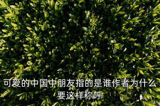 可愛的中國中朋友指的是誰作者為什么要這樣稱呼
