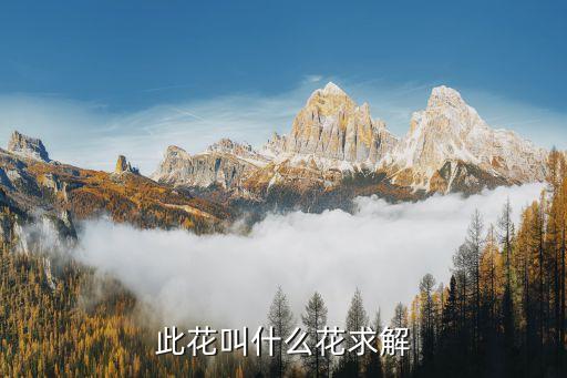 千葉桃花，千葉桃花勝百花孤榮春軟駐年華什么意思