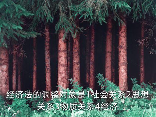 經(jīng)濟法的調(diào)整對象是1社會關(guān)系2思想關(guān)系3物質(zhì)關(guān)系4經(jīng)濟