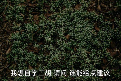 二胡自學(xué)方法，怎樣學(xué)二胡