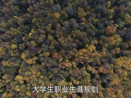大學生職業生涯規劃