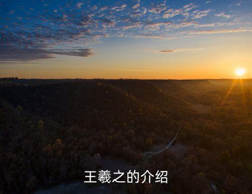 王羲之個人簡介，王羲之的簡介