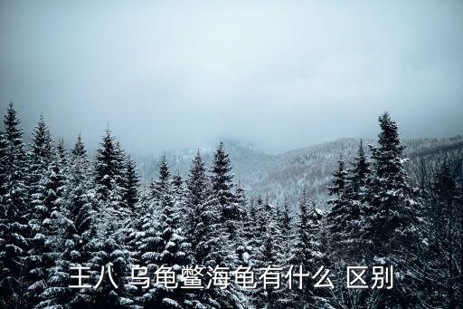 海鱉，王八 烏龜鱉海龜有什么 區別