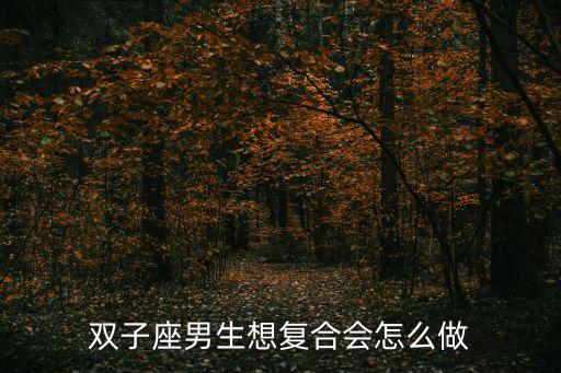 雙子座男生想復合會怎么做