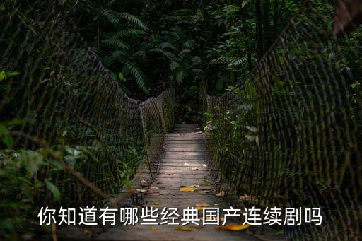 國產連續劇，國產的電視連續劇有什么