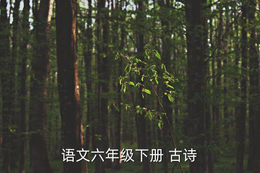 六年級語文古詩，六年級古詩詞
