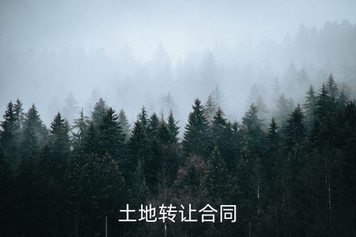 土地轉讓合同