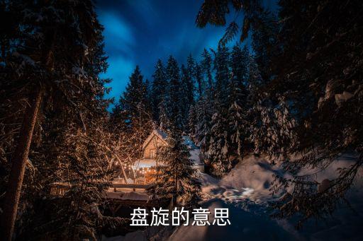 盤旋的意思