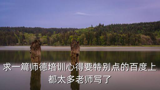 求一篇師德培訓(xùn)心得要特別點的百度上都太多老師寫了