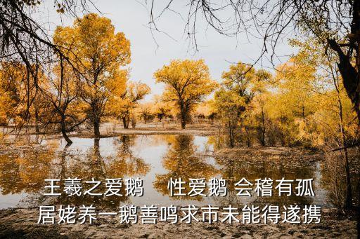 王羲之愛鵝，王羲之愛鵝    性愛鵝 會稽有孤居姥養一鵝善鳴求市未能得遂攜