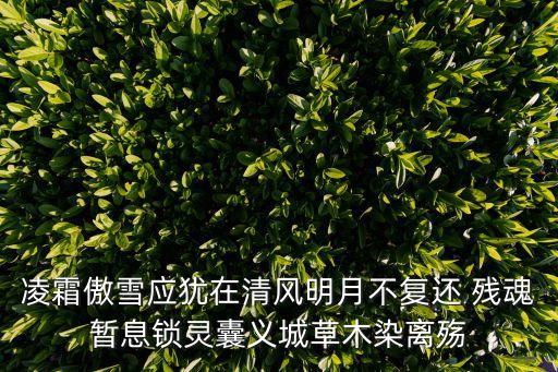 凌霜傲雪，與凌霜傲雪什么相對應的詞
