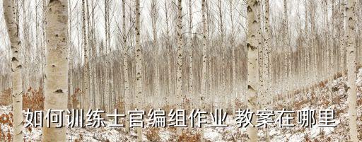 如何訓(xùn)練士官編組作業(yè) 教案在哪里