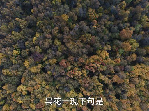 曇花一現下句是
