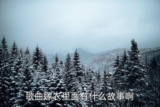 歌曲嫁衣里面有什么故事啊