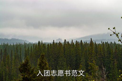 團(tuán)員志愿書，團(tuán)員志愿書
