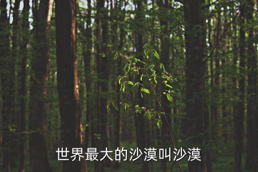 沙漠照片，中國最大的沙漠是什么沙漠