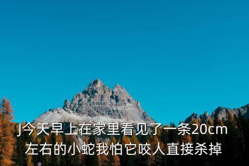 J今天早上在家里看見了一條20cm左右的小蛇我怕它咬人直接殺掉