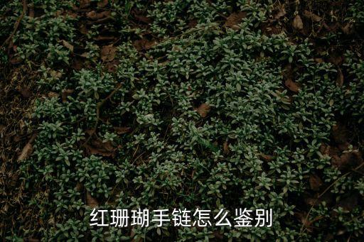 紅珊瑚手串，紅珊瑚手鏈怎么鑒別