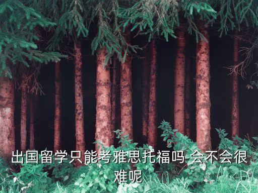 出國留學托福，出國留學考托福