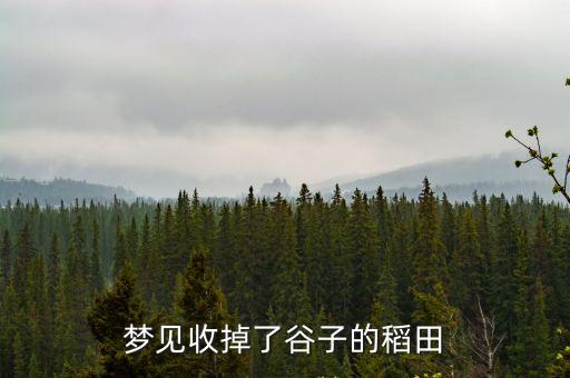 夢見收掉了谷子的稻田