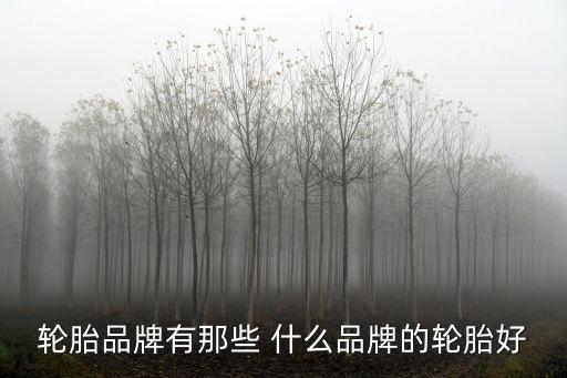 輪胎牌子，輪胎品牌有那些 什么品牌的輪胎好