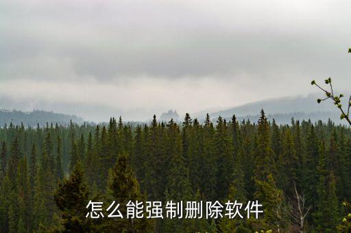 怎么能強制刪除軟件