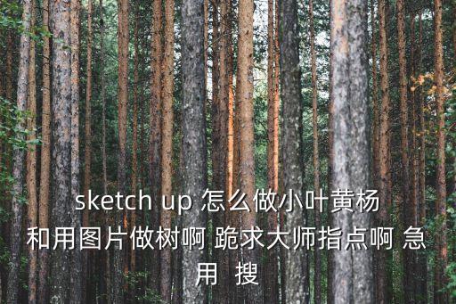 sketch up 怎么做小葉黃楊和用圖片做樹啊 跪求大師指點啊 急用  搜